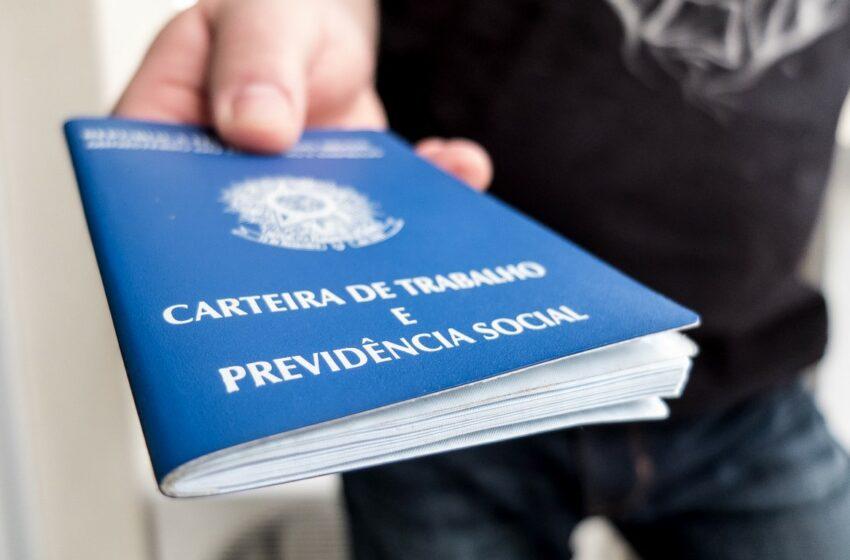  IBGE aponta crescimento do desemprego e número de trabalhadores sem carteira assinada