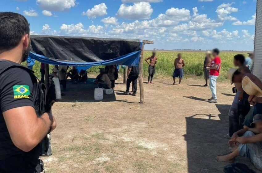  Operação resgata 56 trabalhadores em condições análogas à escravidão em Uruguaiana